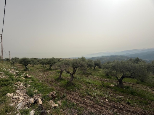 3,572 SQM Land with Mountain View For Sale in Bejdarfel, Batroun