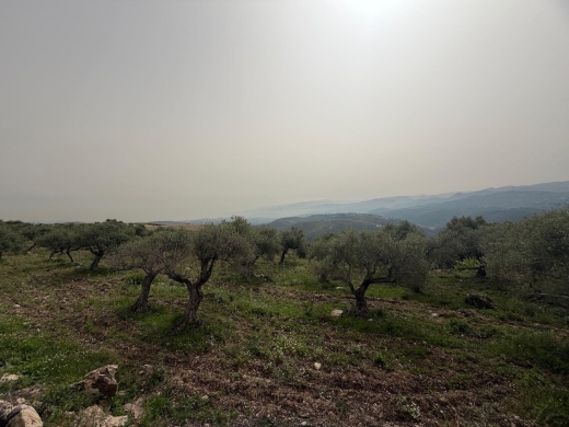 3,572 SQM Land with Mountain View For Sale in Bejdarfel, Batroun — 2