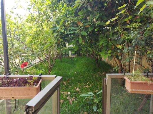 Furnished Apartment With Terrace & Garden for Rent In Kfarhbeib — 2