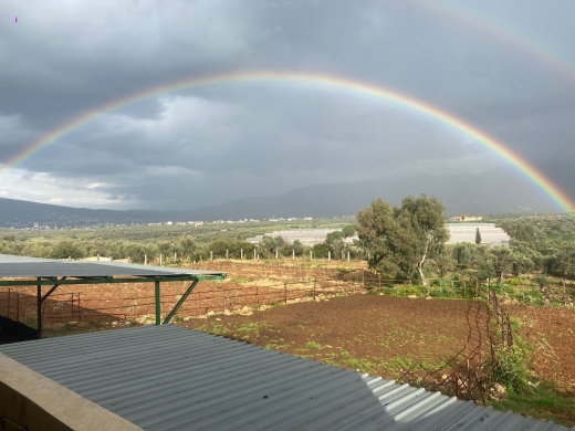 6,334 SQM Land with Farm For Rent in Zgharta