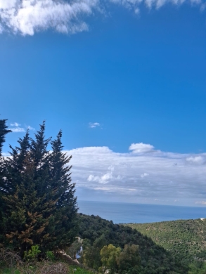 Traditional Lebanese House For Sale in Smar Jbeil, Batroun — 13