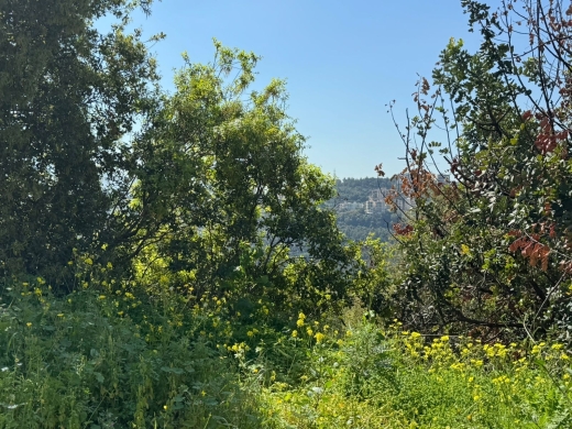 A 5,200 SQM Land For Sale in A Prime Location in Mansourieh — 2