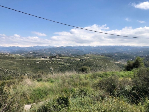 A 4,064 SQM Land For Sale in Edde, Batroun