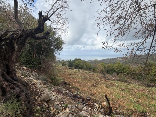 A 15,380 SQM Land For Sale In Monsef — 2