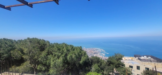 Exclusive! Unique Castle For Sale in Daroun Harissa — 11
