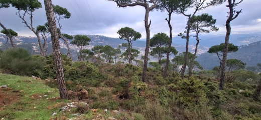 A 1,110 SQM Land For Sale in Bolonia