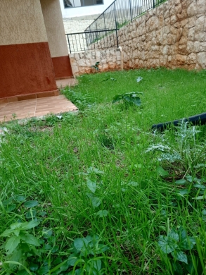 3-Bedroom Apartment With Terrace For Sale in Halat — 7