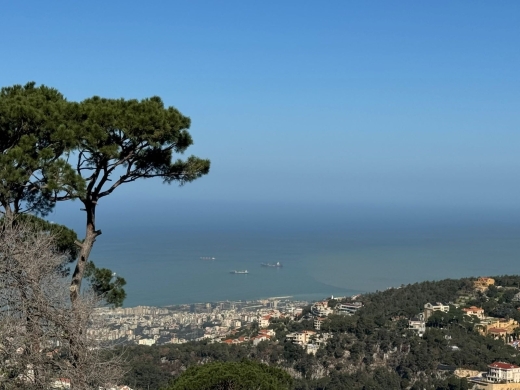 A 1,800 SQM Land For Sale in Broumana