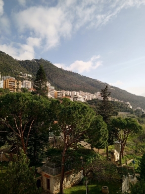 Fully Furnished Apartment With Mountain View For Sale In Haret Sakher — 13