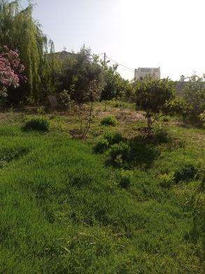 A 1220 SQM Land For Sale in Roumieh