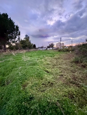 A 800 SQM Land For Sale in Jbeil