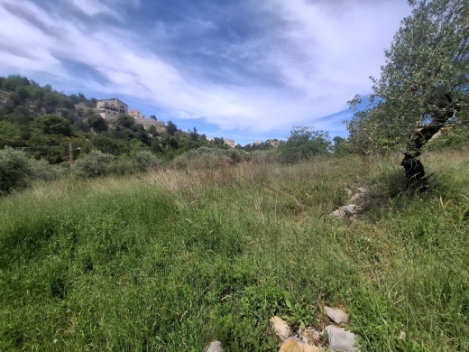 Beautiful Land For Sale in Lehfed With Road Access