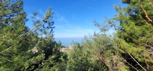 A 1,240 SQM Land For Sale in Maaysra