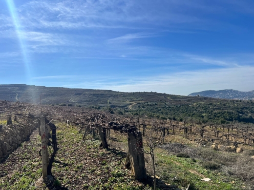 Land With Small House For Sale in Ain Al Marej, Bhamdoun — 4