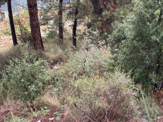 A 1,122 SQM Land For Sale in Broumana