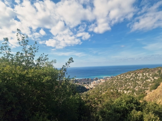 A 1334 SQM Land For Sale in Basbina, Batroun