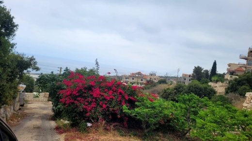 Spacious Land For Sale in A Prime Location in Berbara, Jbeil