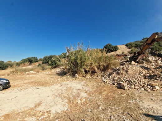 A 1339 SQM Land For Sale in Kfaraabida, Batroun
