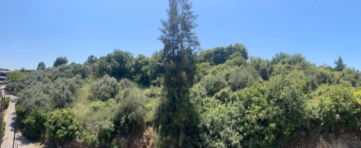 A 4000 SQM Land For Sale in Chamat, Jbeil