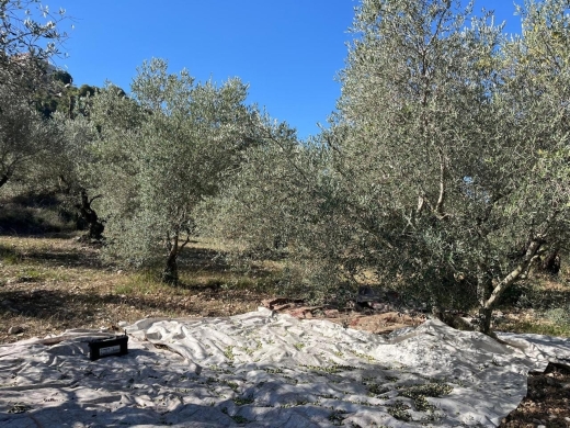 A 5,400 SQM Land For Sale in Bejje, Jbeil