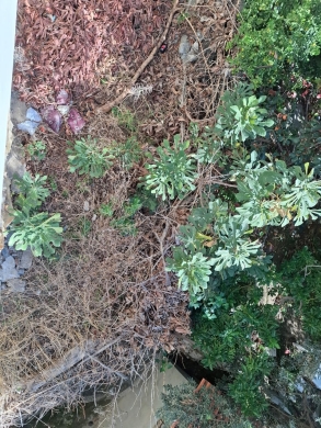 Exclusive! Cozy 2-Bedroom Apartment with Garden For Sale in Ghazir — 4
