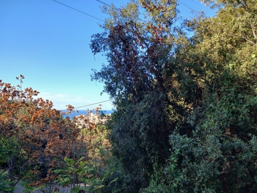 Land For Sale in Rabieh Calm Area