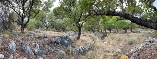 Beautiful Land For Sale in Chikhane, Jbeil