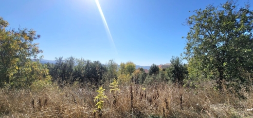 1,214 SQM Land For Sale in A Calm Area of Faytroun