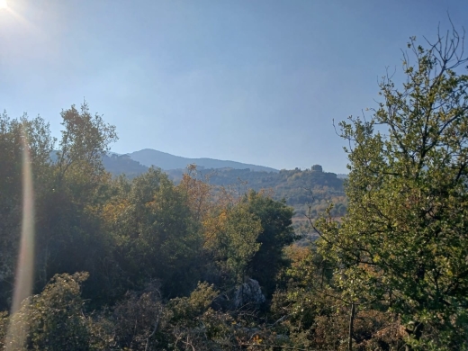 Prime Location! 1,290 SQM Land For Sale in Douma — 2