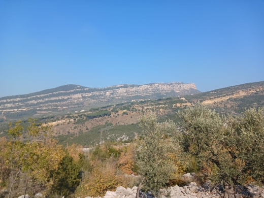 Prime Location! 1,290 SQM Land For Sale in Douma — 5