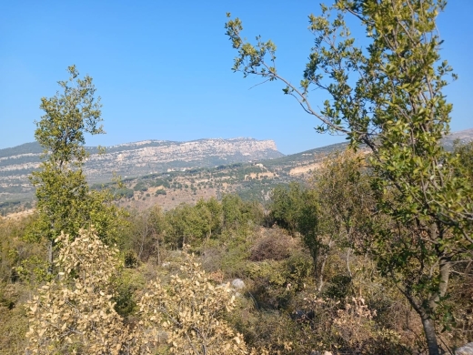 Prime Location! 1,290 SQM Land For Sale in Douma