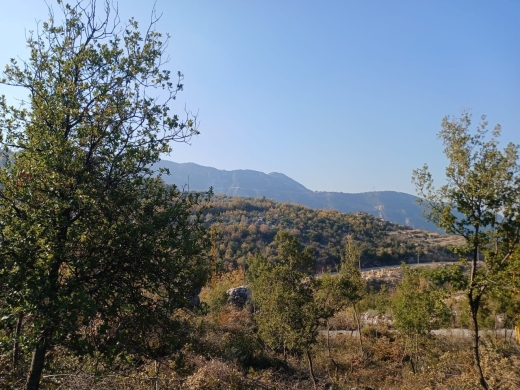 Prime Location! 1,290 SQM Land For Sale in Douma — 6