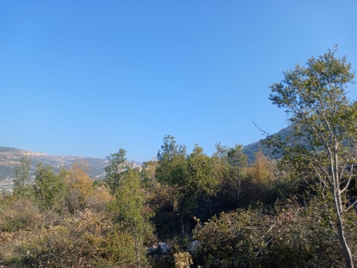 Prime Location! 1,290 SQM Land For Sale in Douma — 4