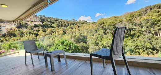 Fully Furnished Decorated Apartment For Rent in Yarzeh — 5