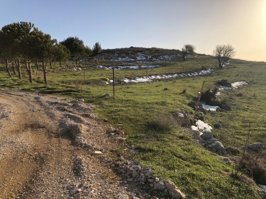 Amazing Land with 360 Views For Sale in Maaser El Chouf, Barouk — 2