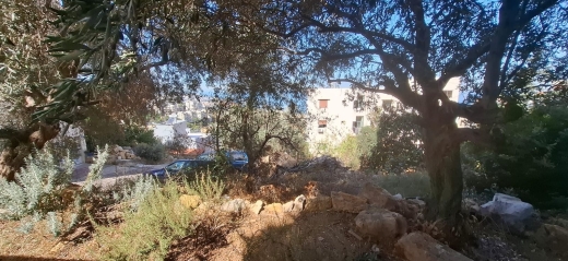 3-Bedroom Apartment with Terrace & Garden For Sale in Bsalim — 10