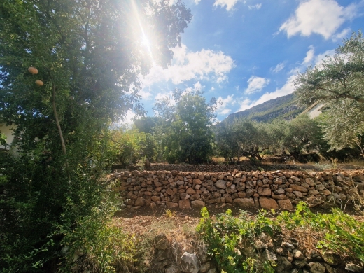 House For Sale in Beit Chlala, Batroun — 4