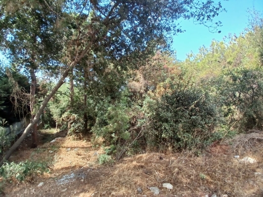 Land For Sale in Rabweh Prime Location