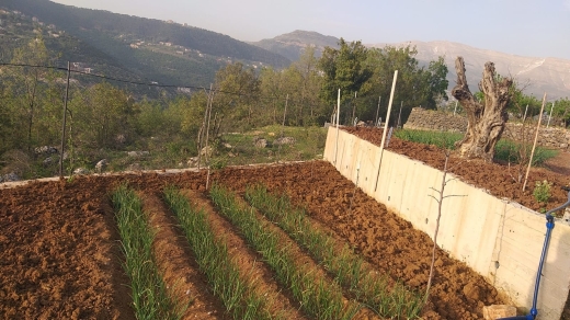 1,300 SQM Land with Amazing Mountain View For Sale in Bteghrine — 3