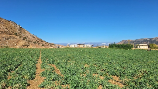 18,900 SQM Land For Sale in Zaarour