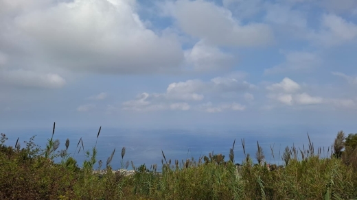 Beautiful Land For Sale in Halat In Villa Zone