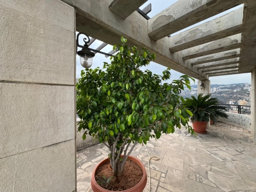 Exclusive! Showroom For Sale in A Prime Location On The Main Road Mkalles — 11