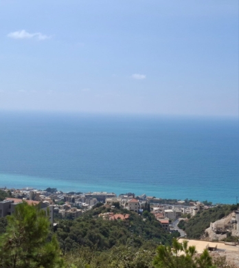 3,780 SQM Land With Sea View For Sale in Halat — 2