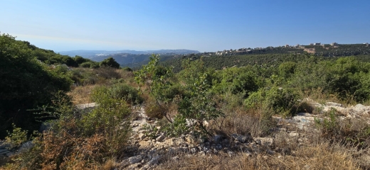 Land For Sale In Jbeil-Kfarkwas With A Beautiful View