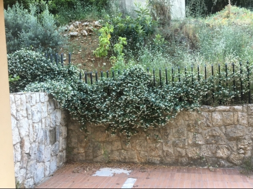 Apartment With 100 SQM Backyard For Sale In Kfarhbeib — 6