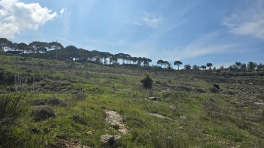 12,568 SQM Land For Sale in Mansouriet Ain El Marej, Bhamdoun