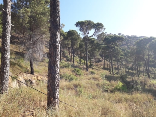 1,500 SQM Land For Sale in Choueir