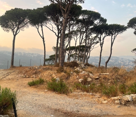 960 SQM Land For Sale in Qortada