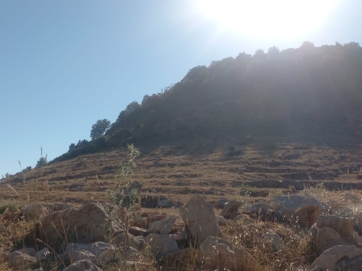 4,623 SQM Land For Sale in Ehmej, Jbeil