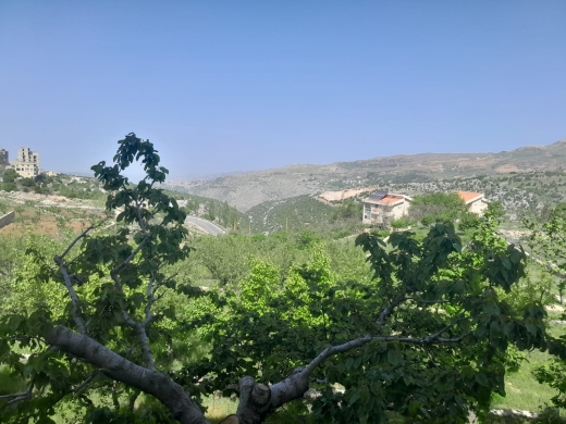 Land With House For Sale In Majdel Tarchich, Metn — 3
